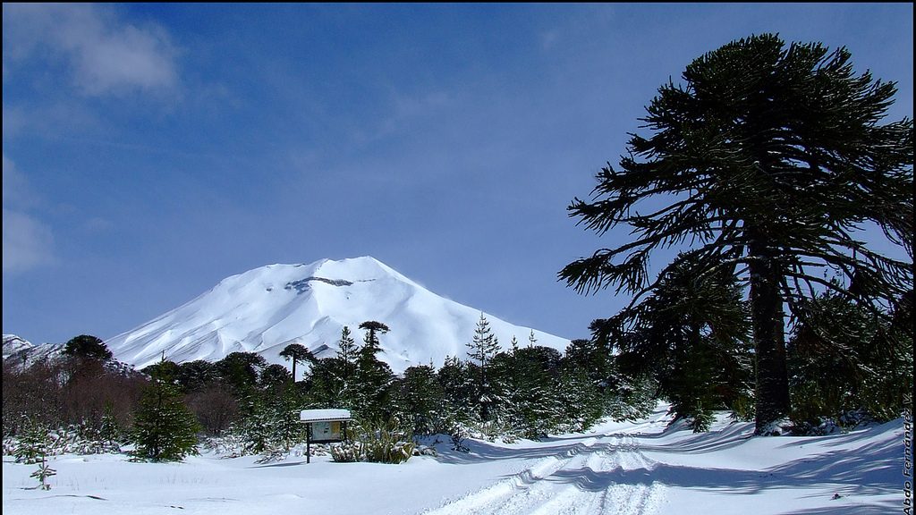 EcoSur - Chile