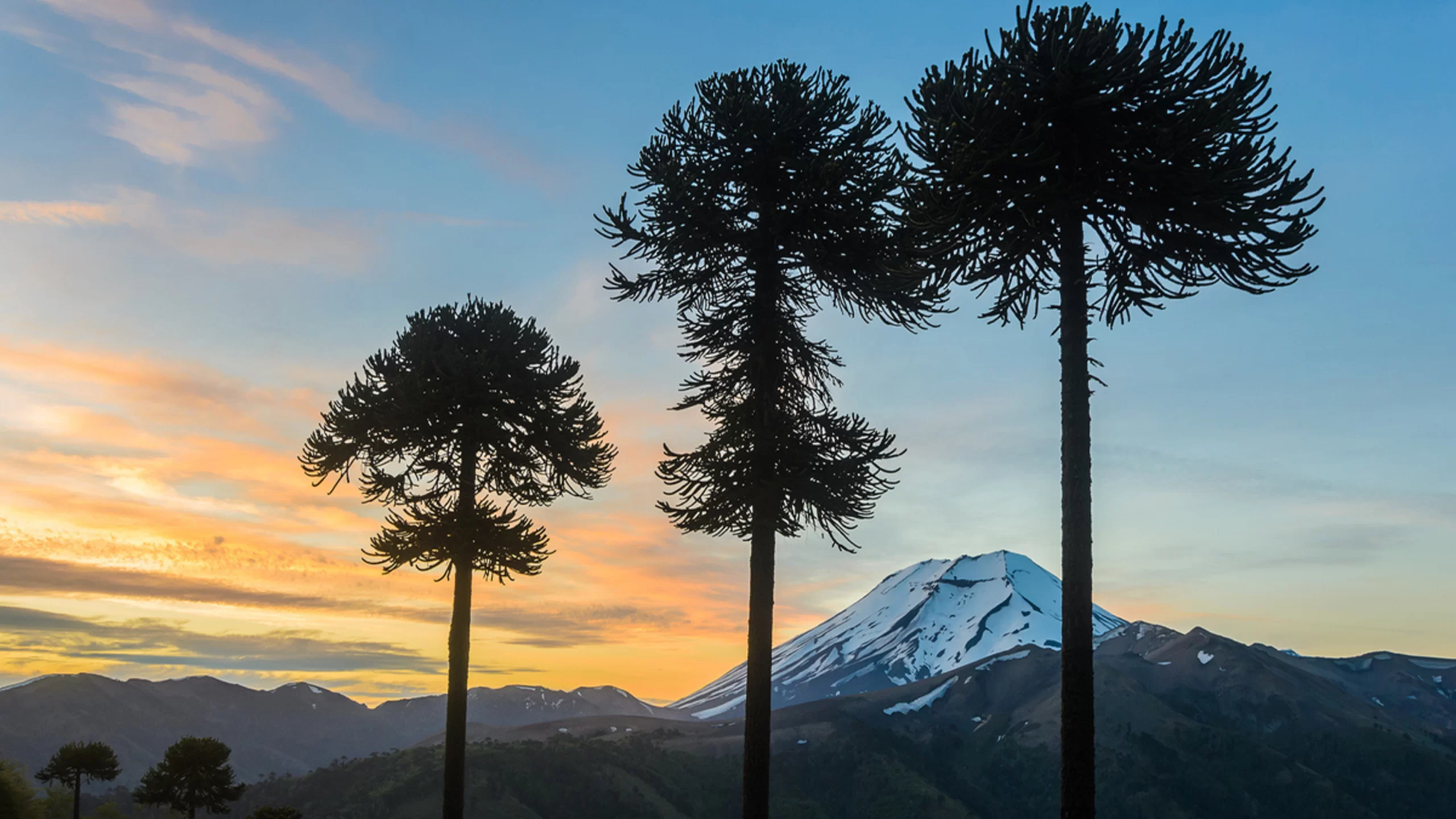 Cordillera Las Raíces