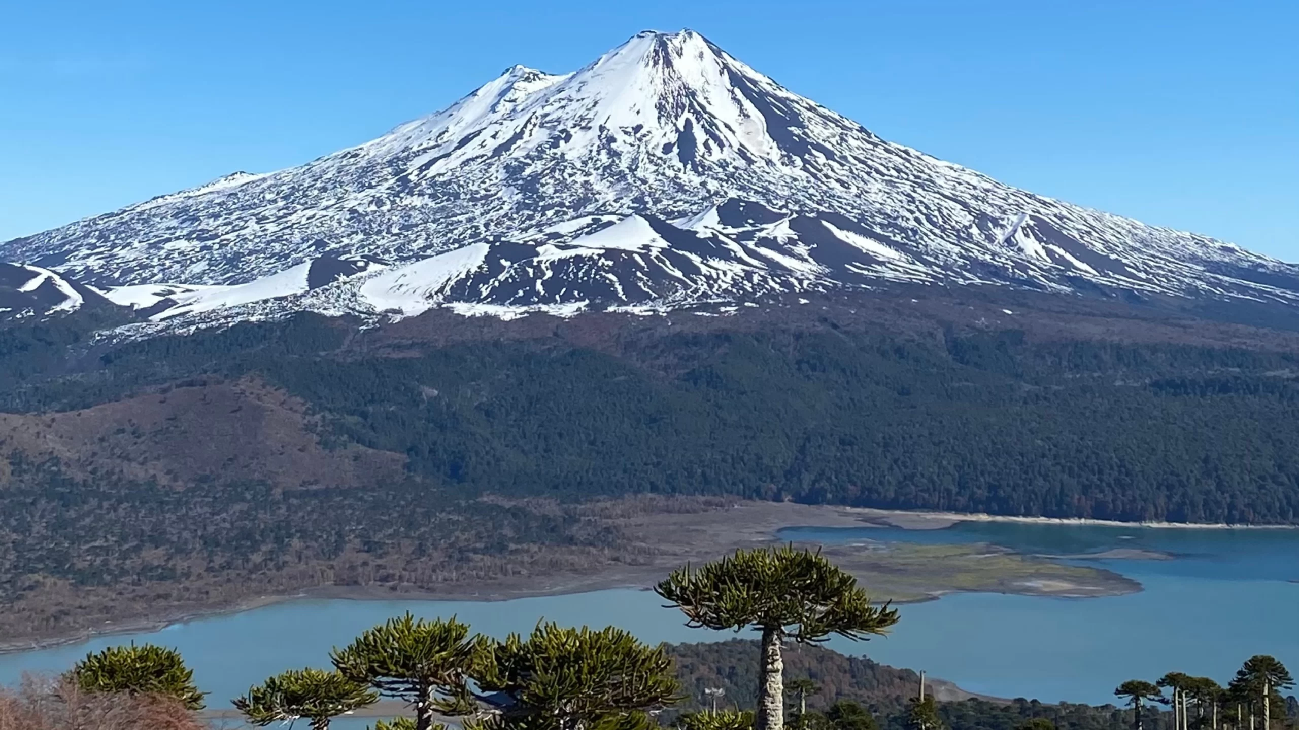 Volcán Llaima