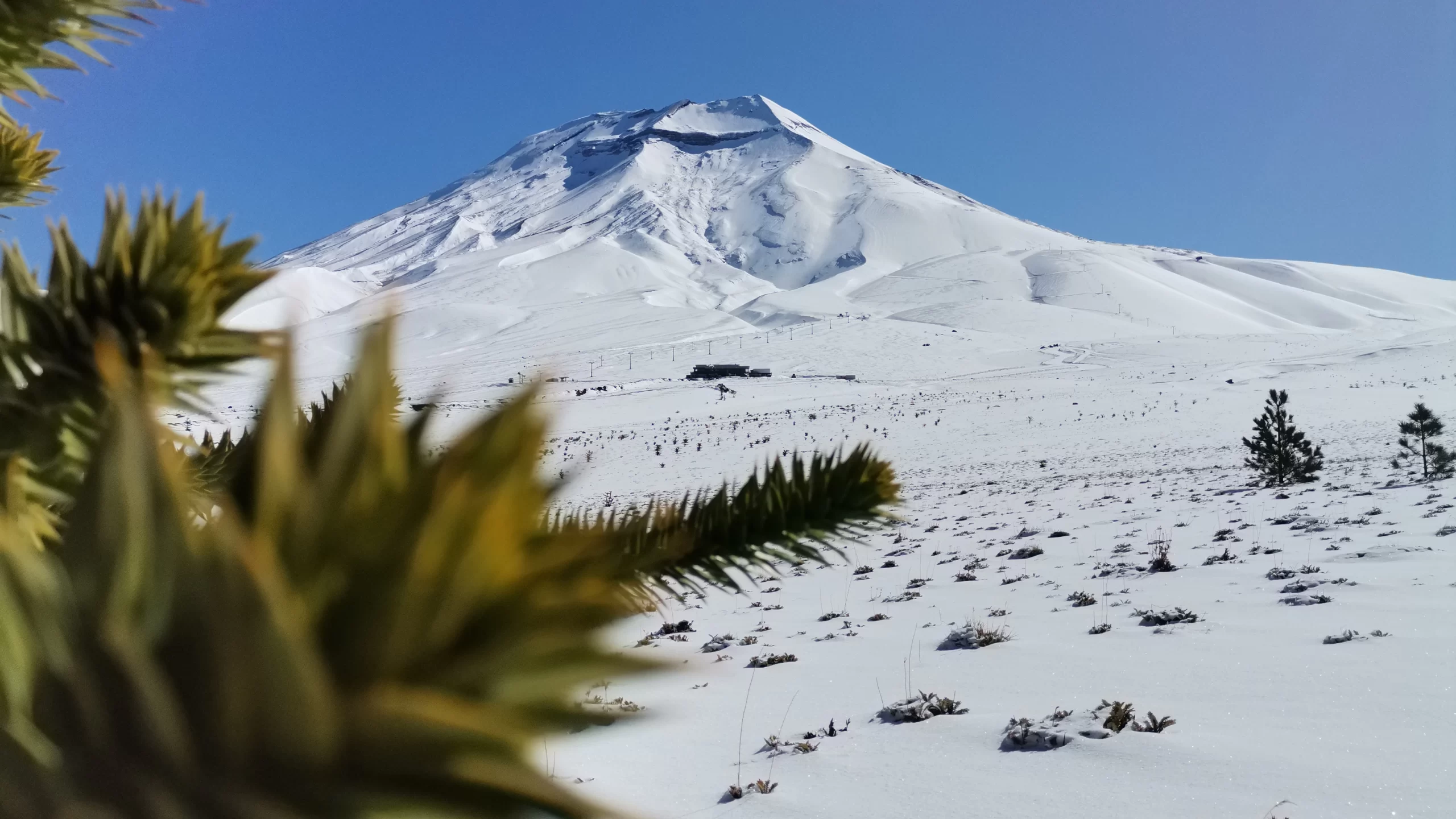 Volcán Lonquimay