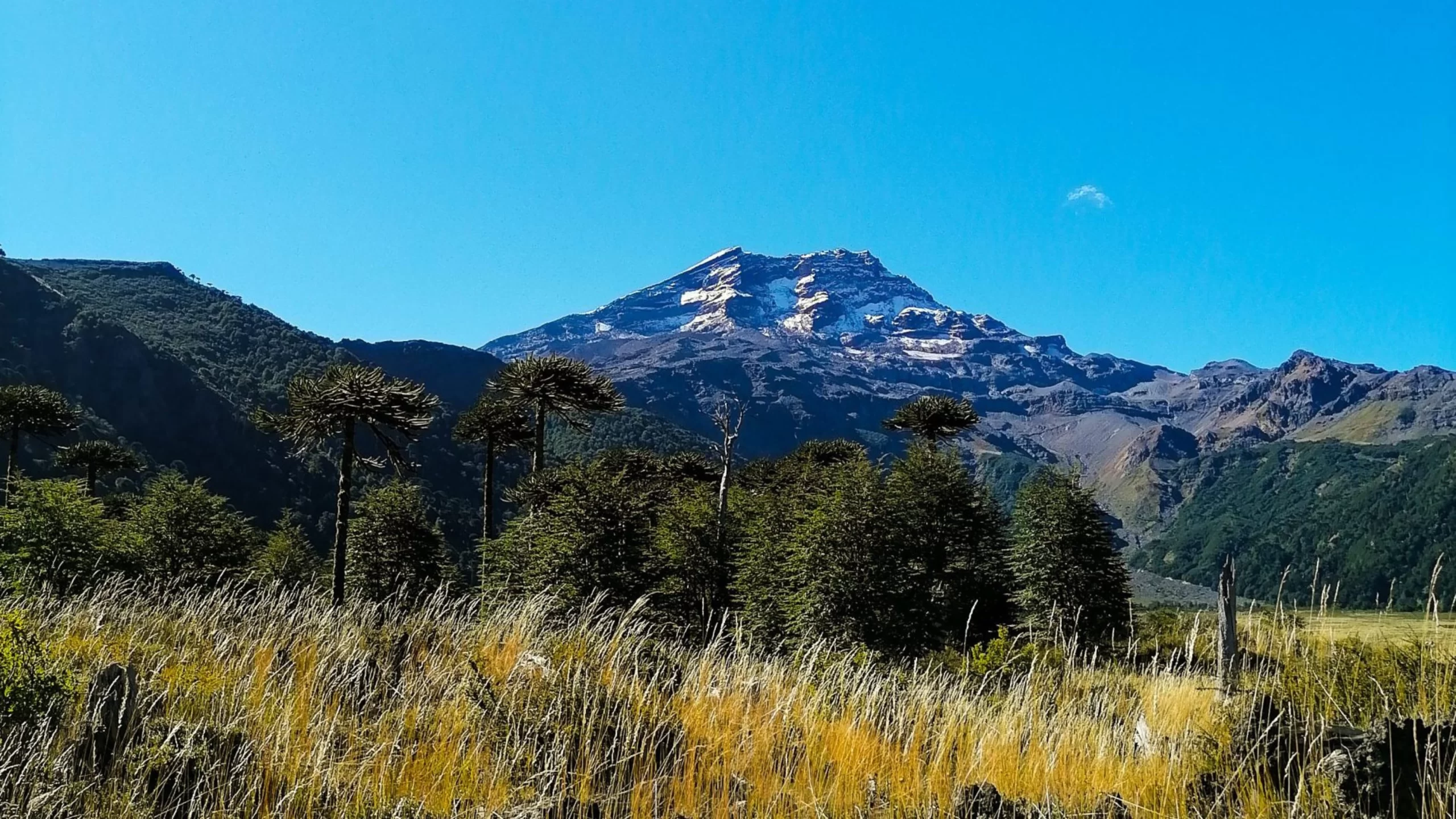 Volcán Tolhuaca