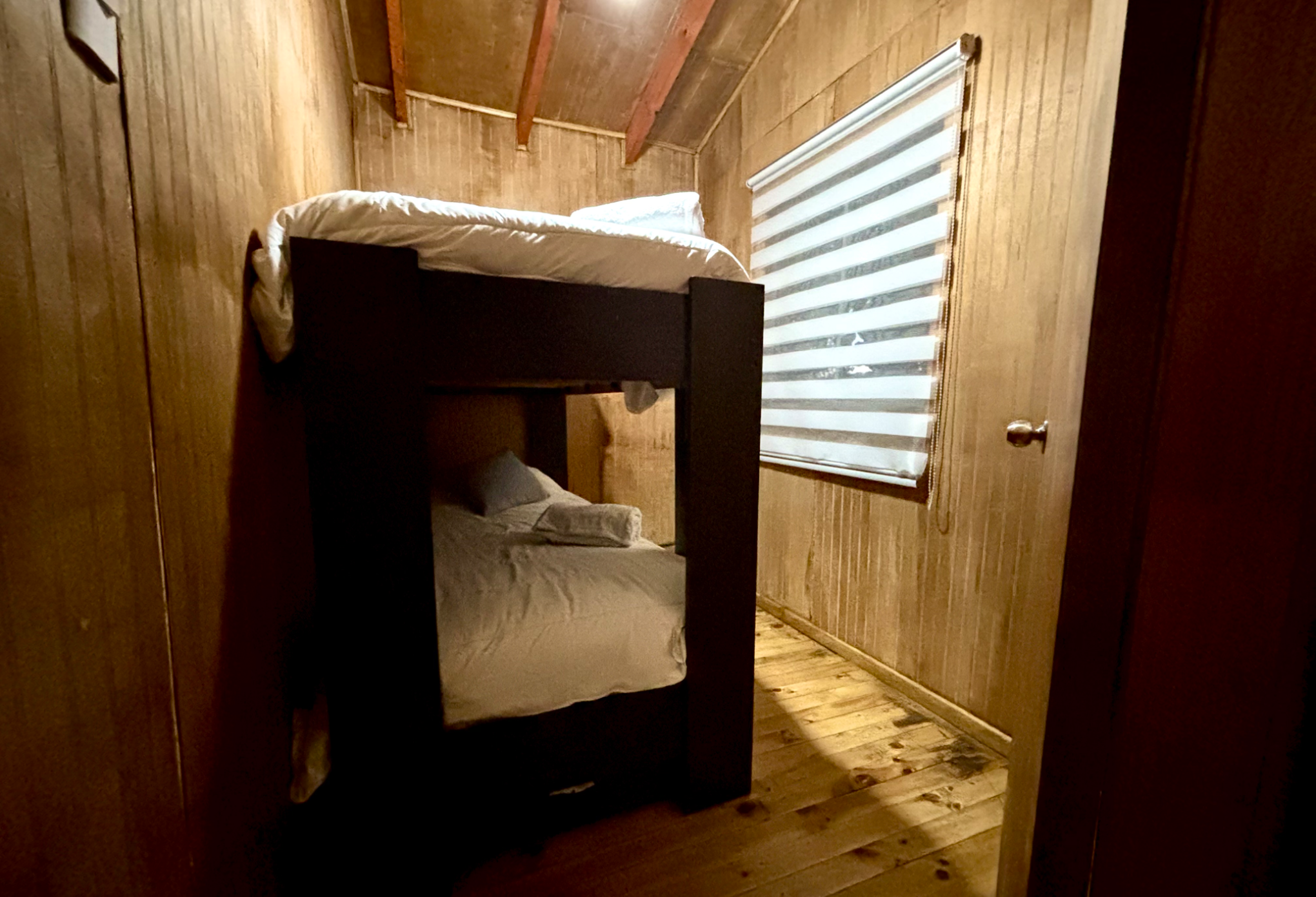 cabaña parque Conguillío