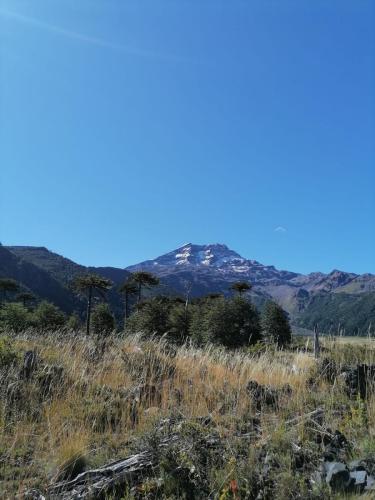 volcan-lonquimay-parque-nacional-conguillio